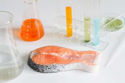 Ученые: Содержащийся в морской рыбе микропластик может вызвать рак
