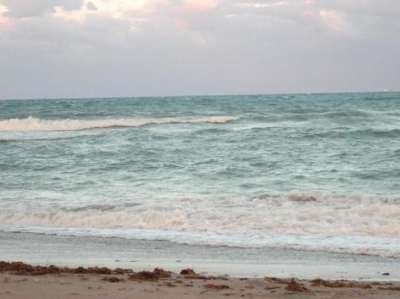 Климатологи предсказали появление "мертвой зоны" в Мексиканском заливе